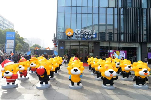 楊超越內定出道 音樂鮮活事兒